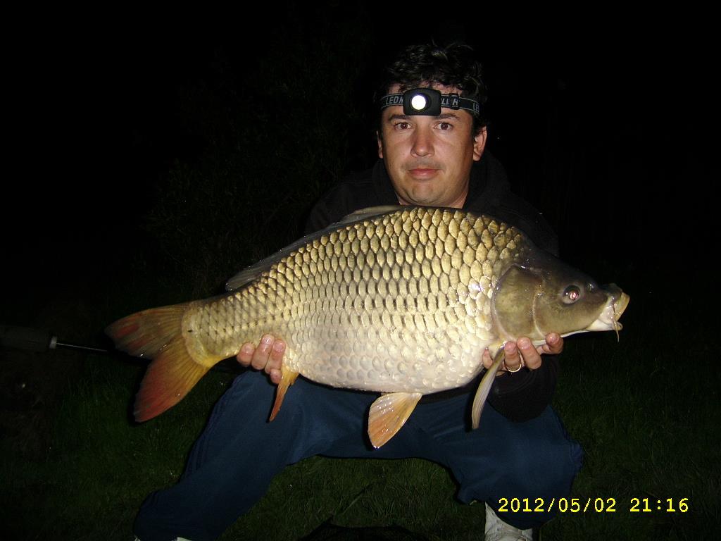 cristi - ssa503991.JPG